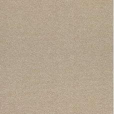Ткань Thibaut fabric W74076
