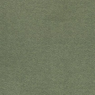 Ткань Thibaut Cadence W74078