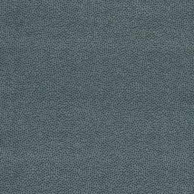 Ткань Thibaut Cadence W74079