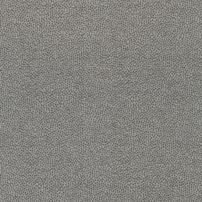 Ткань Thibaut fabric W74081