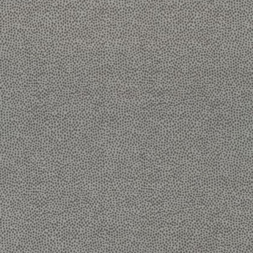 Ткань Thibaut Cadence W74081