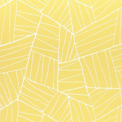 Ткань Thibaut Festival fabric W74651