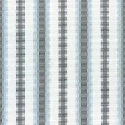 Ткань Thibaut fabric W74667