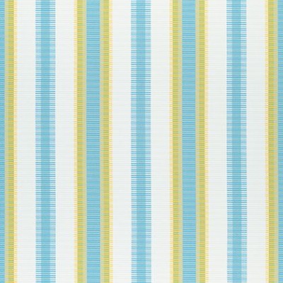 Ткань Thibaut Festival fabric W74671