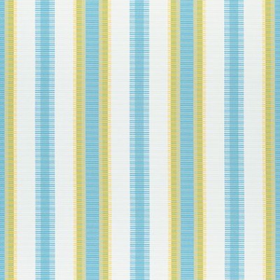 Ткань Thibaut fabric W74671