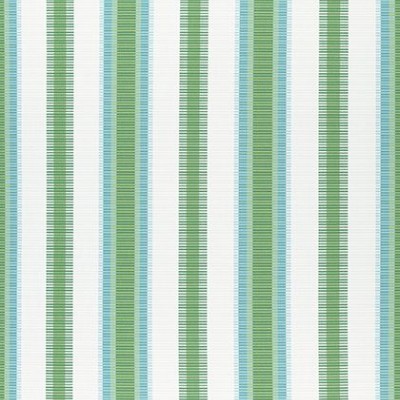 Ткань Thibaut Festival fabric W74672