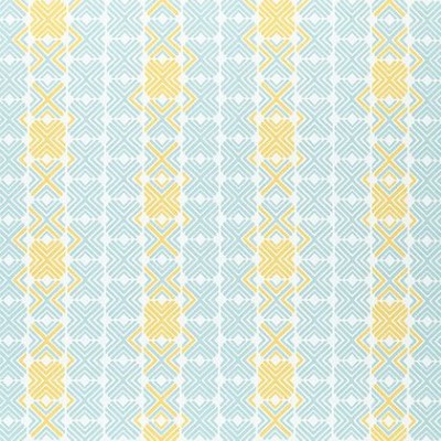 Ткань Thibaut fabric W74676