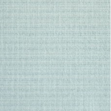 Ткань Thibaut fabric W789133