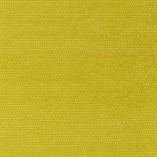 Ткань Thibaut fabric W79231