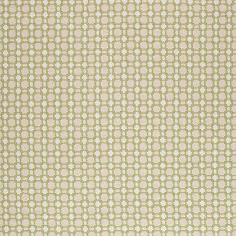 Ткань Thibaut fabric W79620