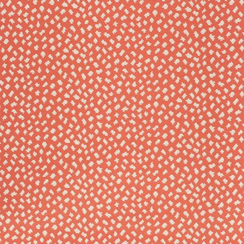 Ткань Thibaut fabric W79625