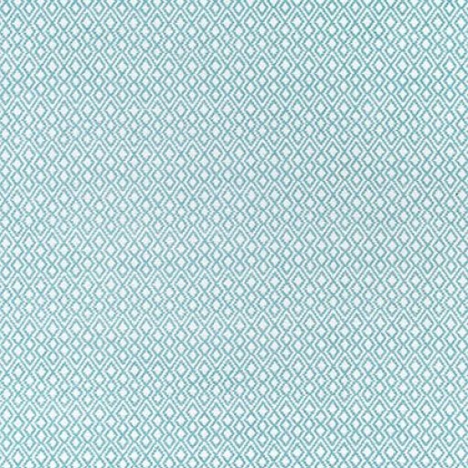 Ткань Thibaut fabric W79648