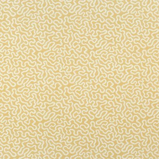 Ткань Thibaut fabric W79656