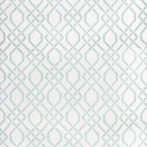 Ткань Thibaut fabric W80020