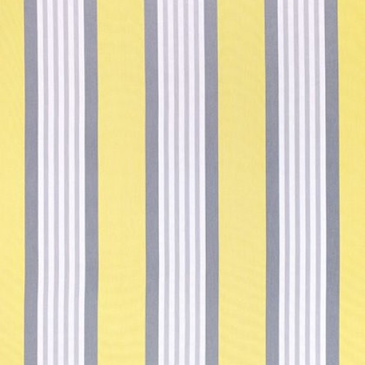 Ткань Thibaut fabric W80116