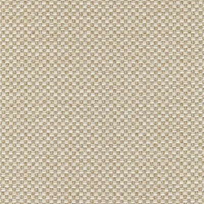 Ткань Thibaut fabric W80229