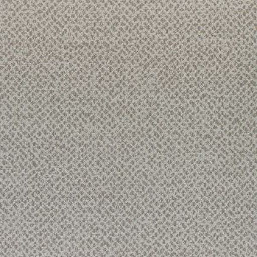 Ткань Thibaut fabric W80411 