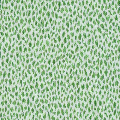 Ткань Thibaut Woven 10: Menagerie W80456