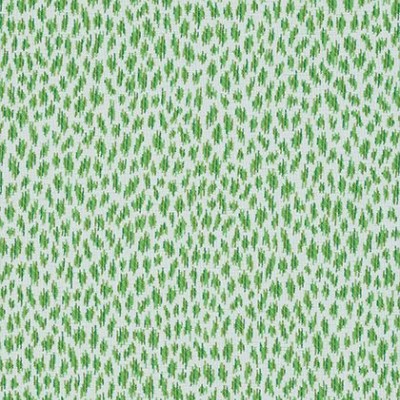 Ткань Thibaut fabric W80456