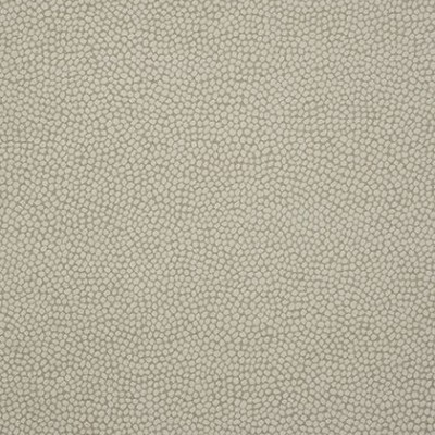 Ткань Thibaut fabric W80516