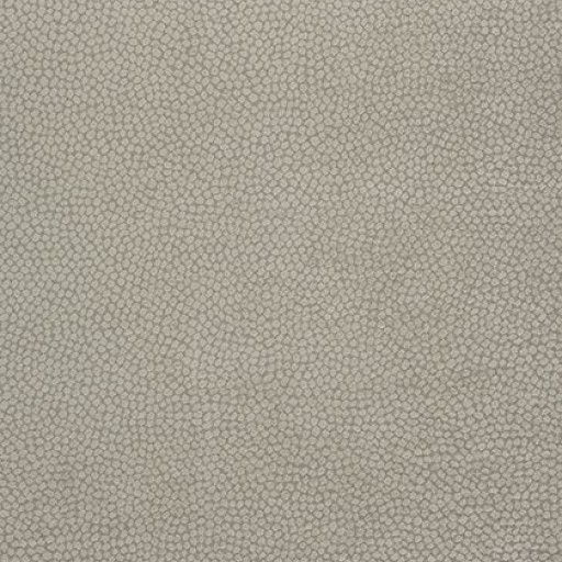 Ткань Thibaut fabric W80518 