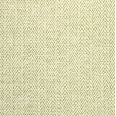 Ткань Thibaut fabric W80600