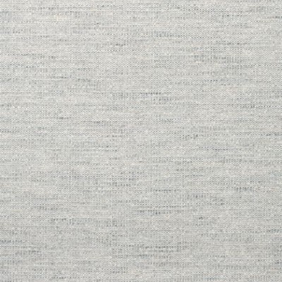 Ткань Thibaut Woven 11: Rialto W80695