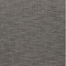 Ткань Thibaut fabric W80701