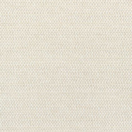Ткань Thibaut fabric W80763