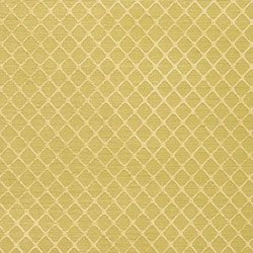 Ткань Thibaut fabric W91816