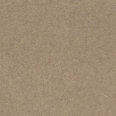 Обои Rasch 520286 