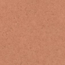 Обои Rasch 520880 
