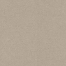 Обои Rasch 555868 
