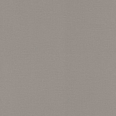 Обои Rasch 555875 
