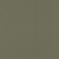 Обои Rasch 555943 