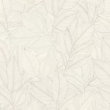 My moments R
