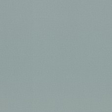 Обои Rasch 983555 